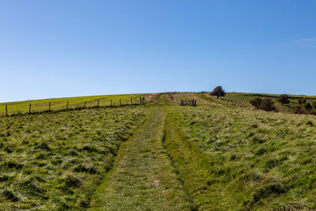A grass pathway in the South Downs with a blue sky overhead