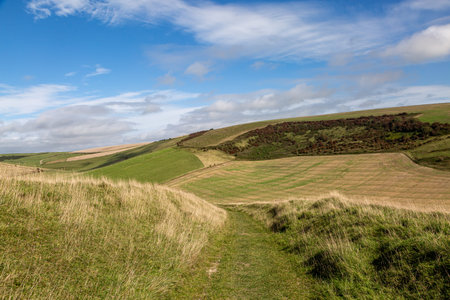 Looking along a grass pathway in the South Downs, on a sunny September afternoon