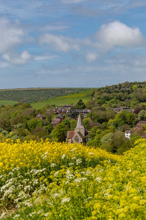 Looking over a field of canola crops towards Alfriston, in Sussexの写真素材