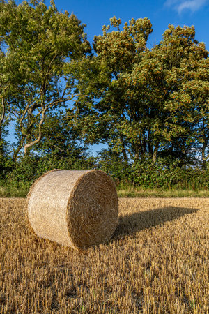 A rural Sussex landscape with a straw bale in a field beneath a blue sky