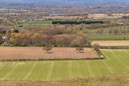 A view over fields from Malling Down near Lewesの写真素材