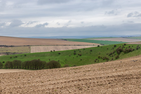 Looking out over a rural Sussex landscape on an early spring day