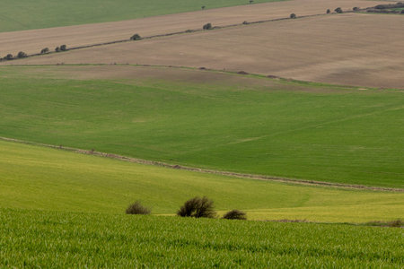 Looking down at agricultural fields in the South Downs, on a spring day