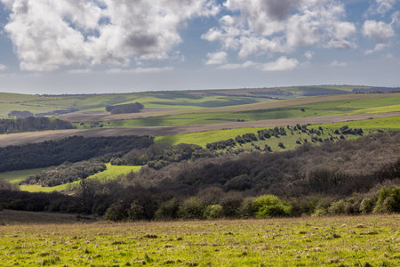 Looking out over the South Downs in Sussex from near Black Cap