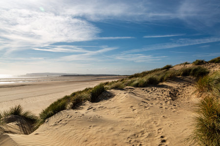A view over sand dunes, at Camber Sands on the Sussex coastの写真素材