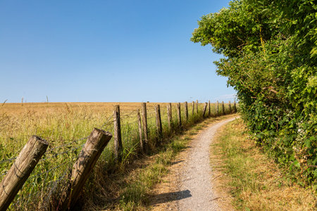 Looking along a pathway in the South Downs on a summer's dayの写真素材