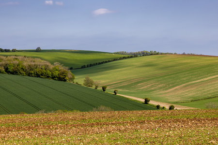 A rural Sussex farm landscape in springtime, with a blue sky overheadの写真素材