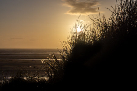 Sunset at the beach with marram grass covered sand dunes silhouetted against the skyの写真素材