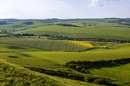 Looking out over a vast South Downs landscape on a sunny spring day
