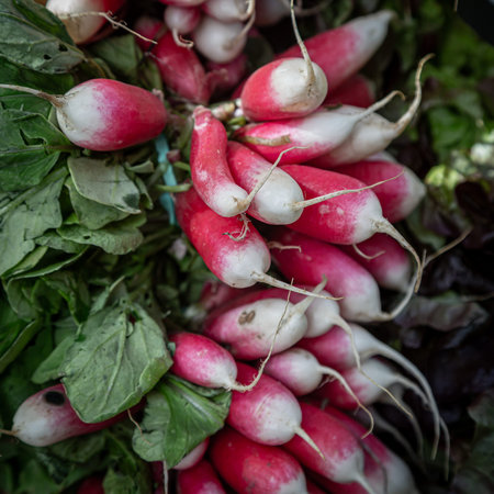 A close up of a bunch of radishes at a farmer's market