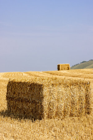 A rural Sussex farm landscape with straw bales after harvestingの写真素材