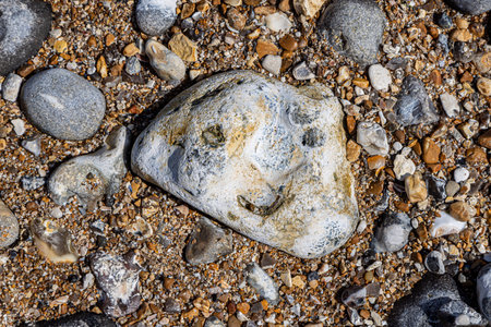 A rock on a beach in Sussex, with markings looking like a faceの写真素材