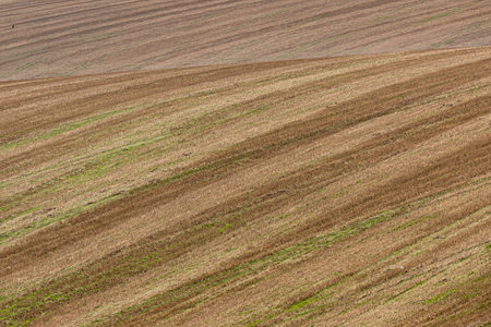 Lines in fields in rural Sussex, on a sunny late September dayの写真素材
