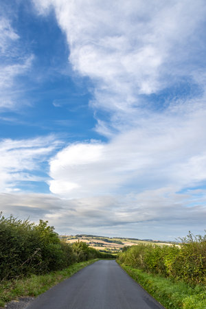 Looking along a country road in Dorset, with blue sky and fluffy clouds overheadの写真素材