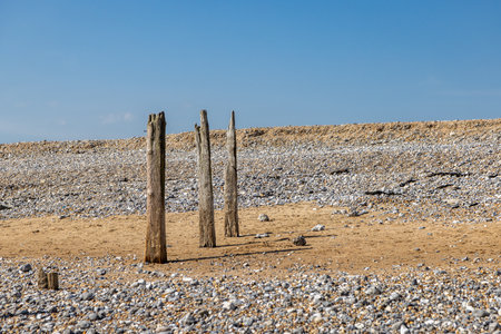 The remains of a wooden groyne on the Sussex coast, with a blue sky overheadの写真素材