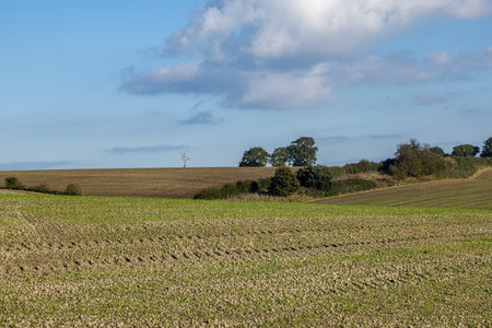 Fields in the Sussex countrysdie on a sunny autumn dayの写真素材
