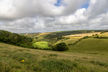 A view over a South Downs landscape on a summer's dayの写真素材