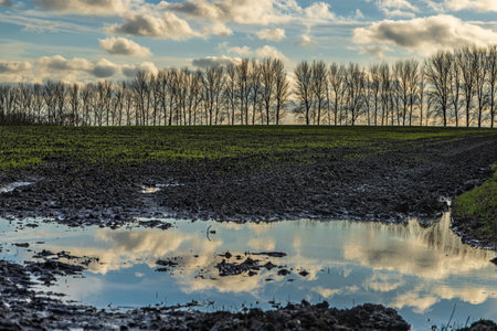 Sky reflecting in a large puddle on an agricultural field in rural Sussexの写真素材