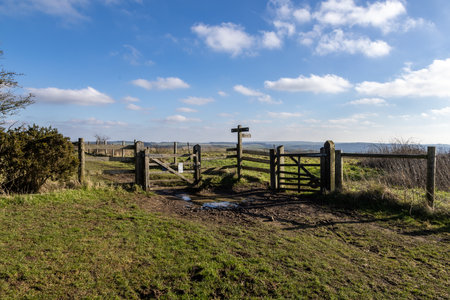 A muddy footpath along the South Downs Way in Sussex, with a blue sky overheadの写真素材