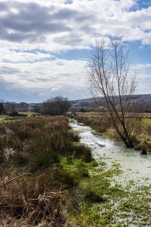 A stream in the Sussex countryside, at Lewes Wetlandsの写真素材