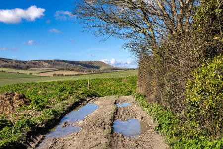 A South Downs farm landscape in Sussex, with a blue sky overheadの写真素材