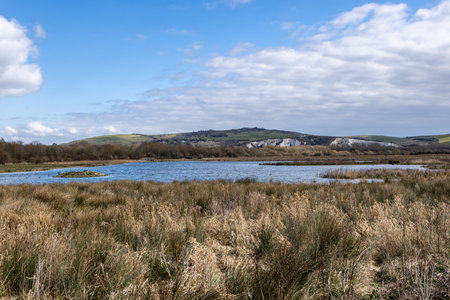 A view over a lake at Lewes wetlands, with a blue sky overheadの写真素材