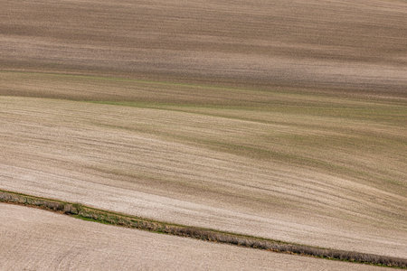 A full frame photograph showing an agricultural field in the South Downs in spring, with new crops emergingの写真素材