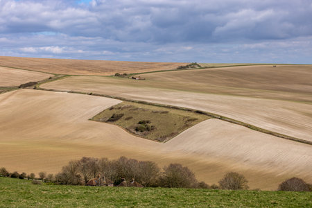 A scenic South Downs farm landscape in springtime