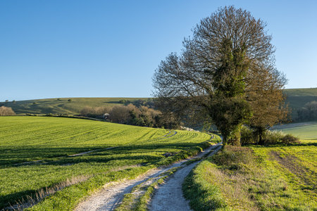 Looking along a pathway in rural Sussex on a spring day, with a clear blue sky overheadの写真素材
