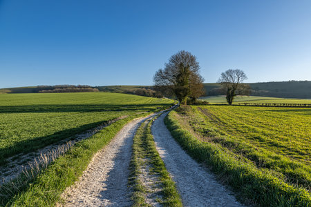 A chalk track through Sussex farmland, on a sunny spring eveningの写真素材