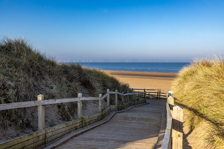 Morning light on a walkway leading to a beach, with a blue sky overheadの写真素材