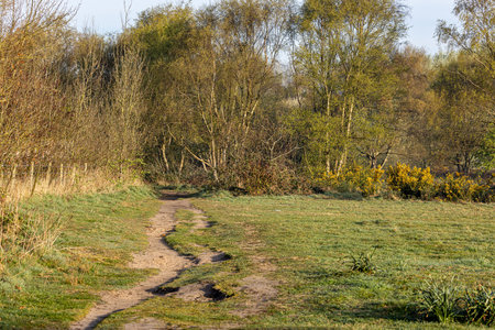A pathway over a heath in Merseyside, with a blue sky overheadの写真素材