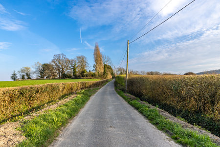 A road in rural Sussex, with farmland either side and a blue sky overheadの写真素材