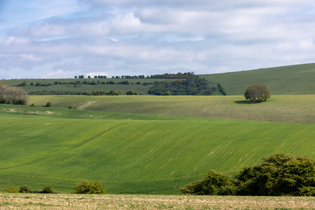 A view over green fields in rural Sussex, on an early spring dayの写真素材