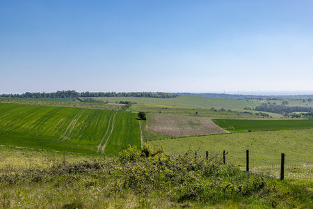 A spring farmland view in the South Downs, with a blue sky overheadの写真素材