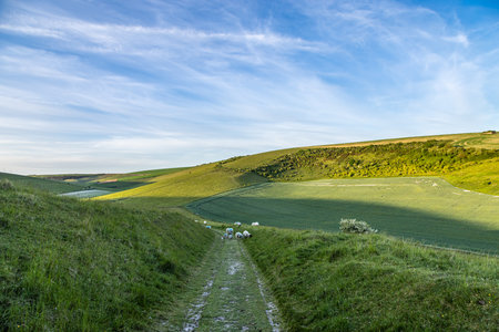 A view along a footpath in the South Downs, on a sunny spring eveningの写真素材