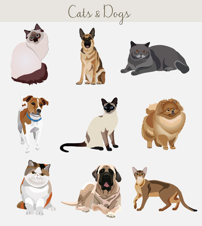 Dogs and cats set. Different types isolated on the white background.のイラスト素材