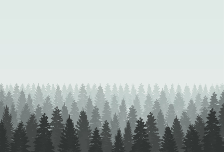 Musterious coniferous forest silhouette template. Vector illustrationのイラスト素材