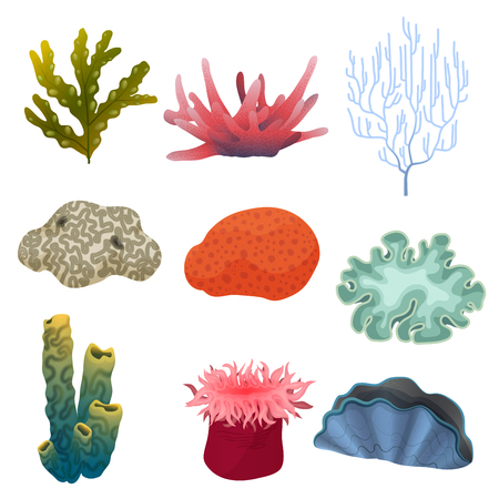 Different kind of cartoon underwater plants and color reef coral icons set. Sea bottomのイラスト素材