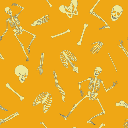 Skeleton Patternのイラスト素材