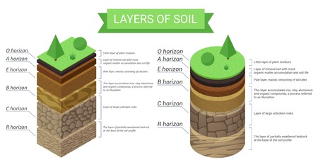 Education isometric diagram and detailed description of soil layers. Plant residue, green grass, fine mineral particles, sand,clay, humus and stones vector illustration.