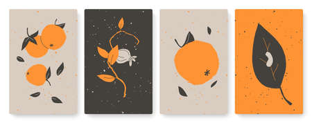 Abstract trendy minimal nature objects set, template background for social media storiesのイラスト素材