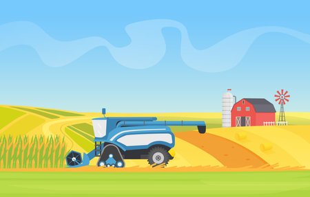 Corn harvesting combine machine working in agricultural field landscape vector illustration. Cartoon countryside natural agro farming technology, harvester equipment cropping cereal plants backgroundのイラスト素材