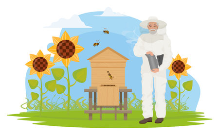 Beekeeper people people work on apiary, honey production vector illustration. Cartoon elderly apiarist character beekeeping, holding honeycomb, standing near hive, sunflower garden isolated on whiteのイラスト素材