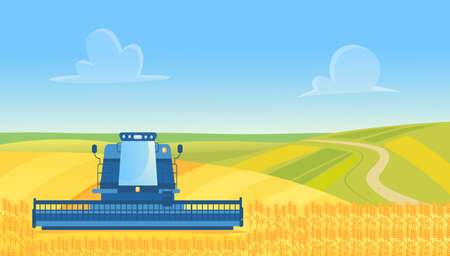 Farm harvester working, harvesting wheat from countryside yellow cereal farmland field vector illustration. Cartoon agricultural farmer combine machine cuts crop, agriculture technology backgroundのイラスト素材