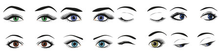 Fashion moda girl eye eyelash design. Female woman eyes and brows image collection set vector illustrationのイラスト素材
