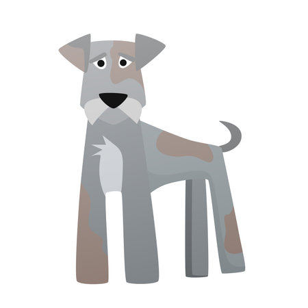 Miniature schnauzer dog. Puppy breed, family loyal lovely pet vector cartoon illustrationのイラスト素材