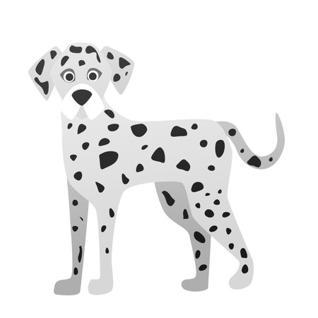 Dalmatian breed dog. Family lovely pet, cute friend vector cartoon illustrationのイラスト素材