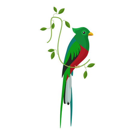 Cute parrot, bird with green and red feathers sitting on branch of tropical plant vector illustrationのイラスト素材