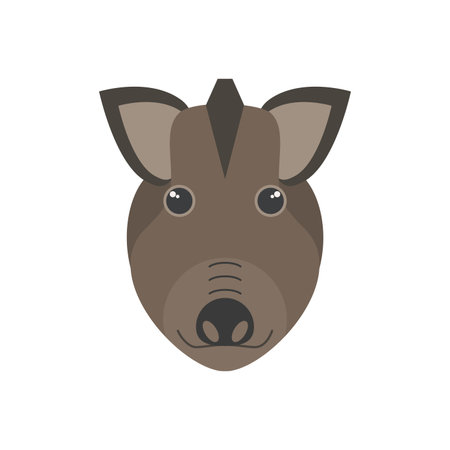 Cute wild boar face, head portrait of brown swine character vector illustrationのイラスト素材